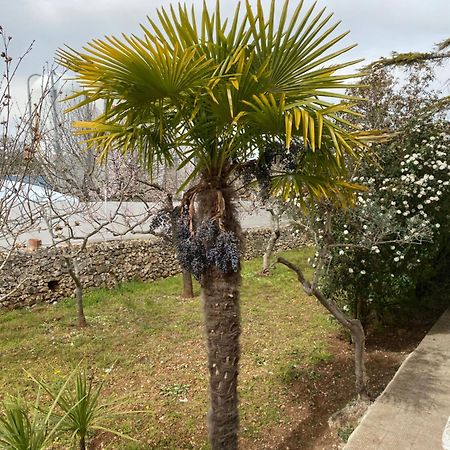 Villa Mima Santeramo in Colle Bagian luar foto